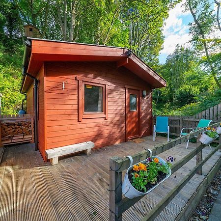فيلا نيو سكونفي Cabin In The Den المظهر الخارجي الصورة