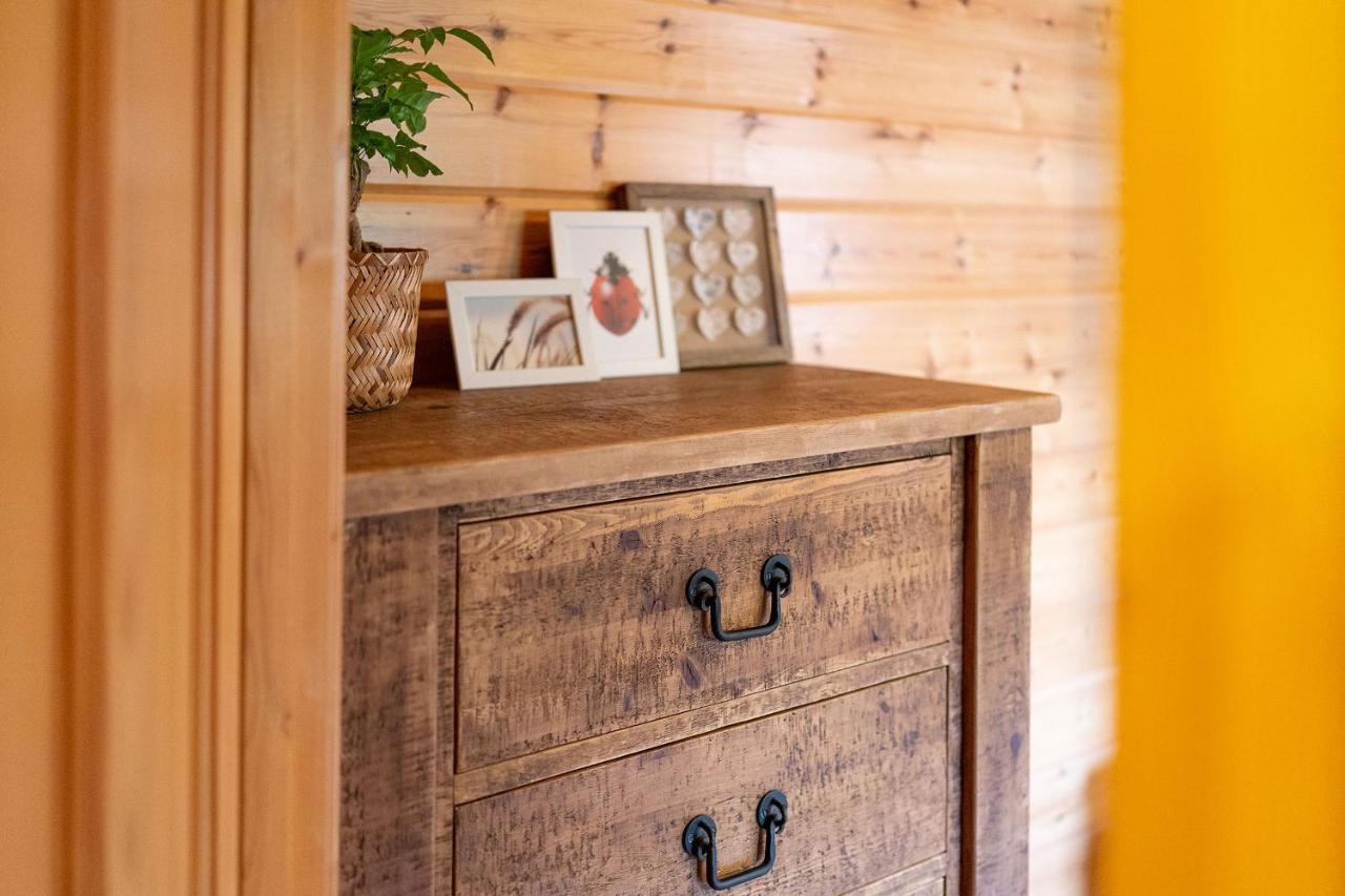 فيلا نيو سكونفي Cabin In The Den المظهر الخارجي الصورة