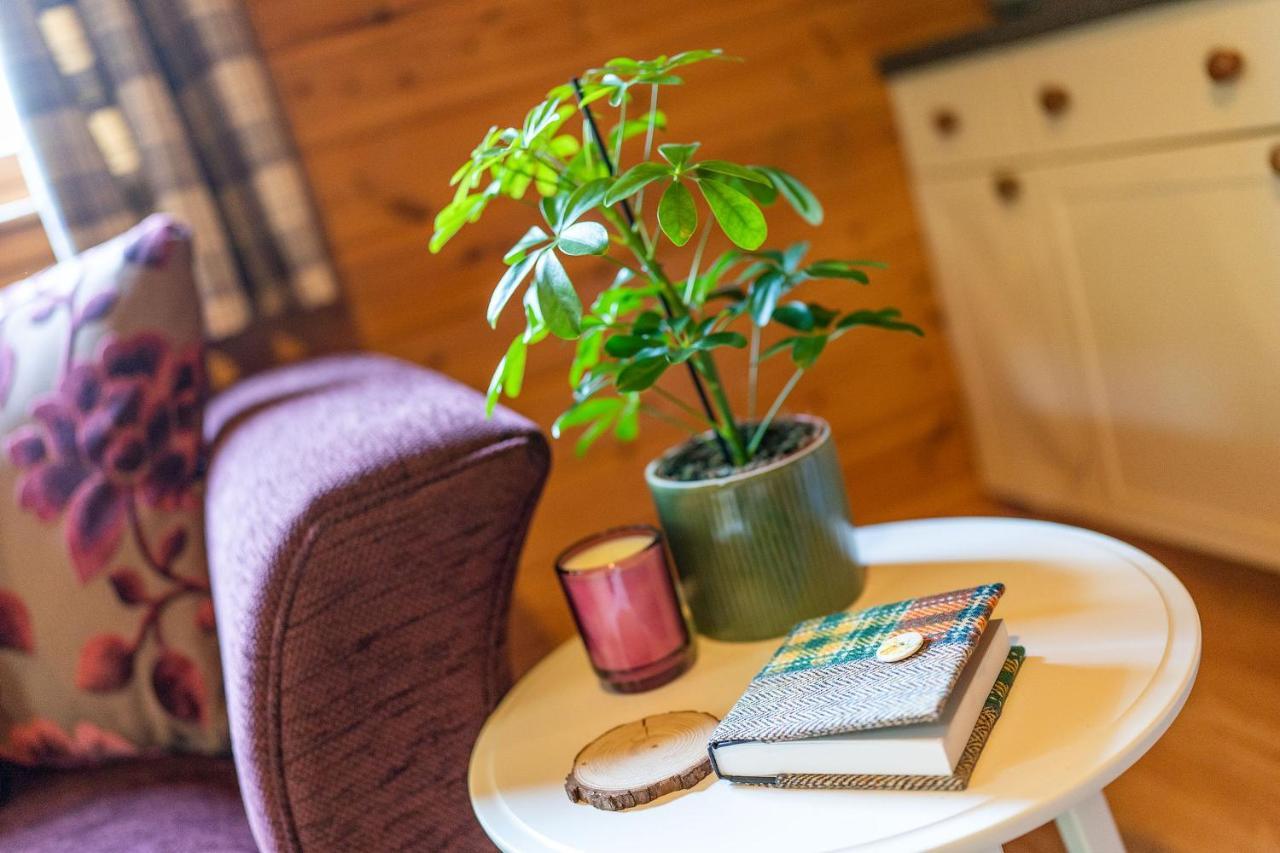 فيلا نيو سكونفي Cabin In The Den المظهر الخارجي الصورة